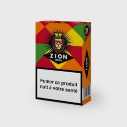 Amnesia - Zion