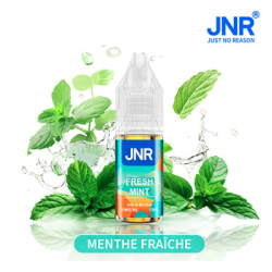 Fresh Mint - 20mg - Falcon X JNR