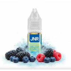 Wild Berries Ice - 20mg - Falcon X JNR