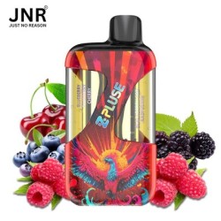 Blueberry Raspberry Cherry + Blackberry Red Raspberry 42K - Zpluse JNR - à l'unité