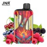 Blueberry Raspberry Cherry + Blackberry Red Raspberry 42K - Zpluse JNR - à l'unité