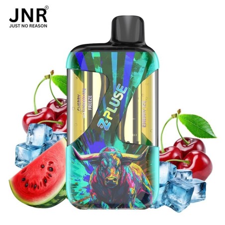 Cherry Ice + Cherry Watermelon Freeze 42K - Zpluse JNR - à l'unité