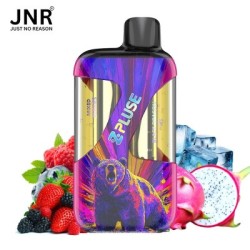 Mixed Berries + Black Dragon Ice 42K - Zpluse JNR - à l'unité