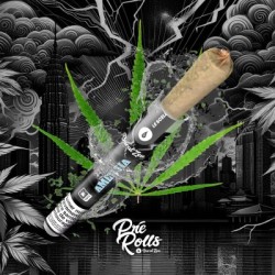 Pre-Rolls - Black Amnesia - à L'unité