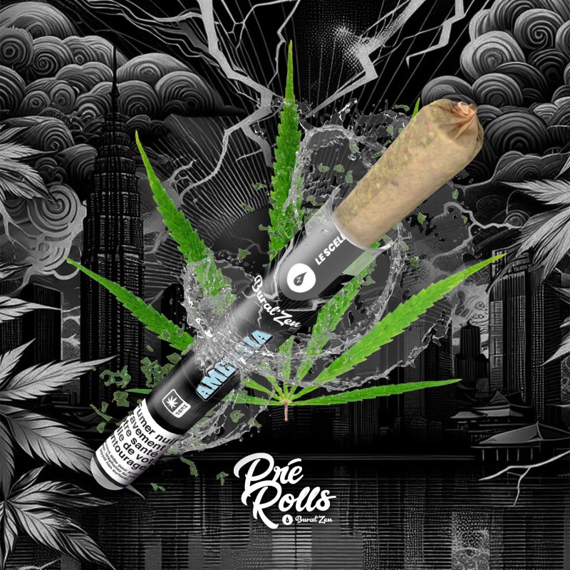 Pre-Rolls - Black Amnesia - à L'unité