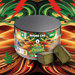 Résine pot - 3 X Filtré - 24% CBD - 10G - Bural'Zen