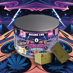Résine pot - Pollen amnesia - 21% CBD - 10G - Bural'Zen
